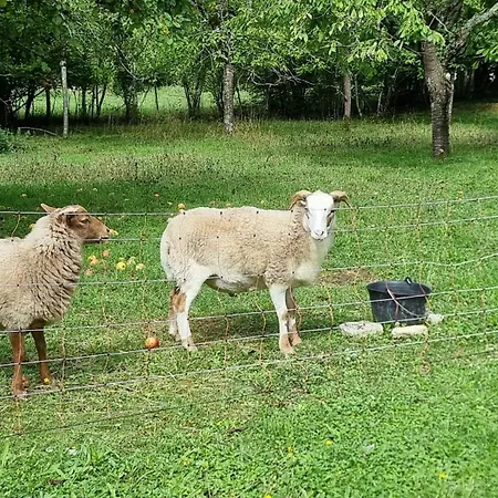 La Margoulette 別荘 Rumont