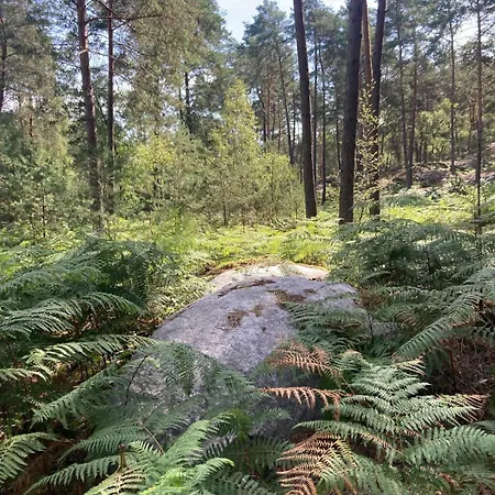 La Margoulette Rumont